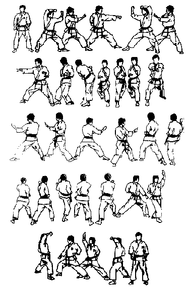 the kyokushin way pdf