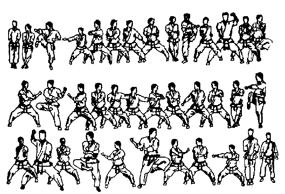 http://www.karate.org.yu/images/teki1.gif