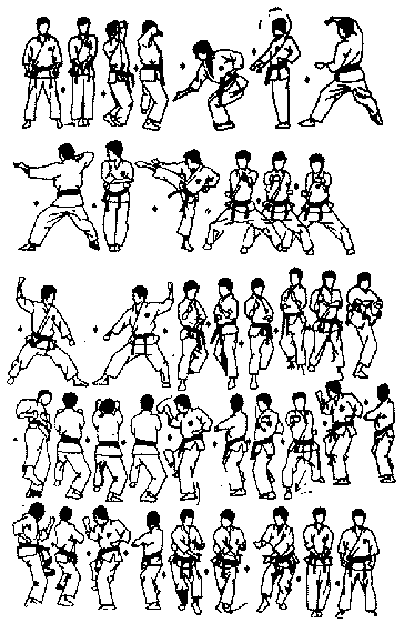 http://www.karate.org.yu/images/basaidai001.gif