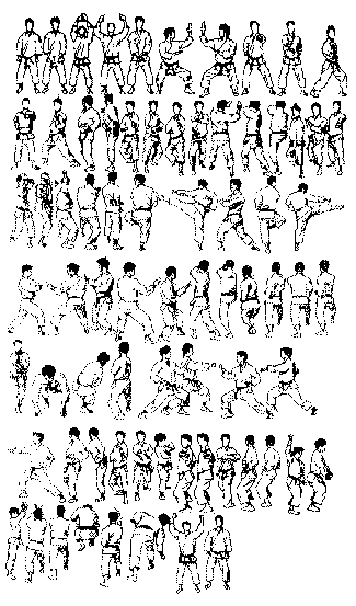 http://www.karate.org.yu/images/kankudai.gif
